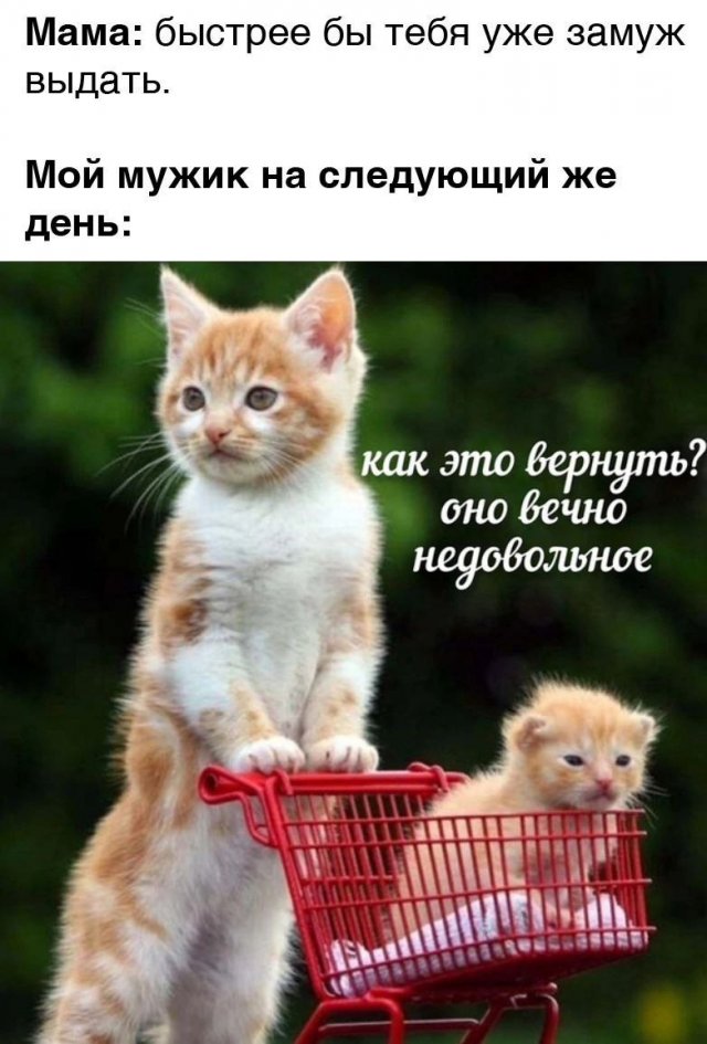 Лучшие шутки и мемы - 21.07.2023