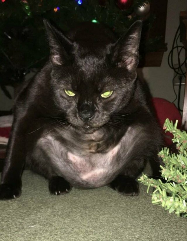 Подборка картинок. Вечерний выпуск - 21.07.2023