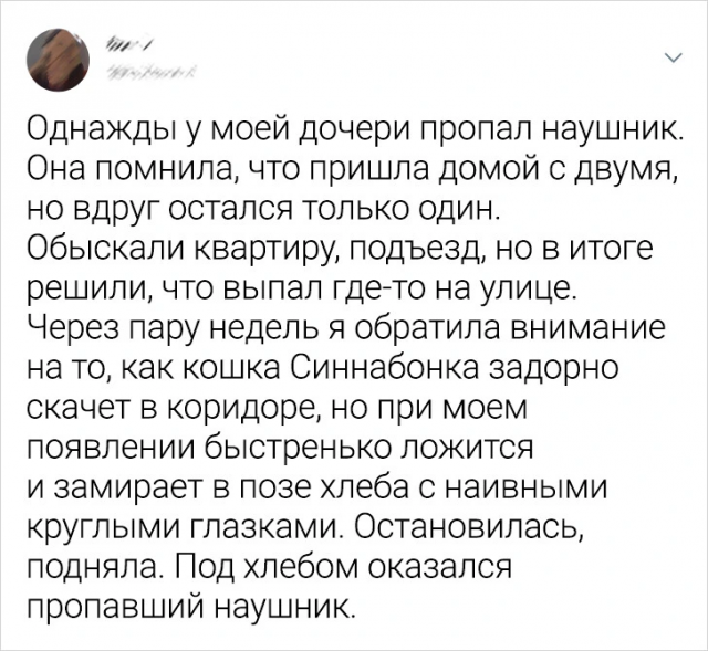Подборка забавных твитов про животных