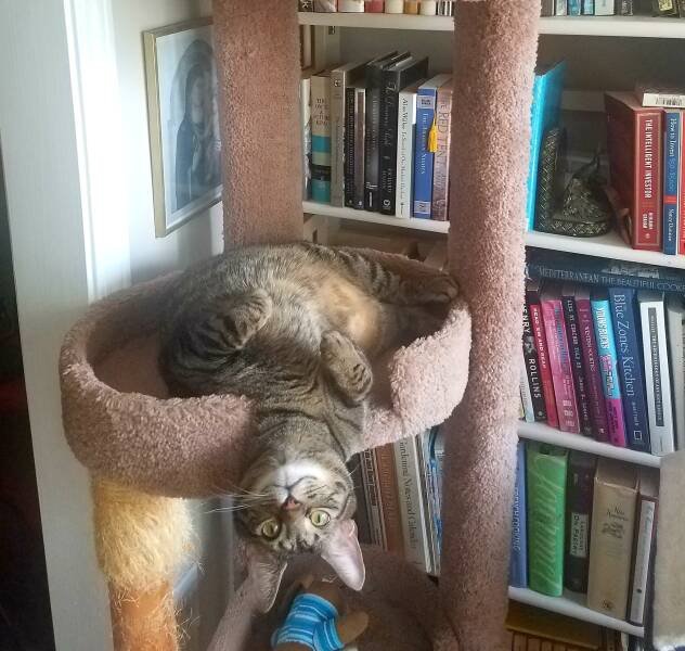 Подборка картинок. Вечерний выпуск - 27.07.2023