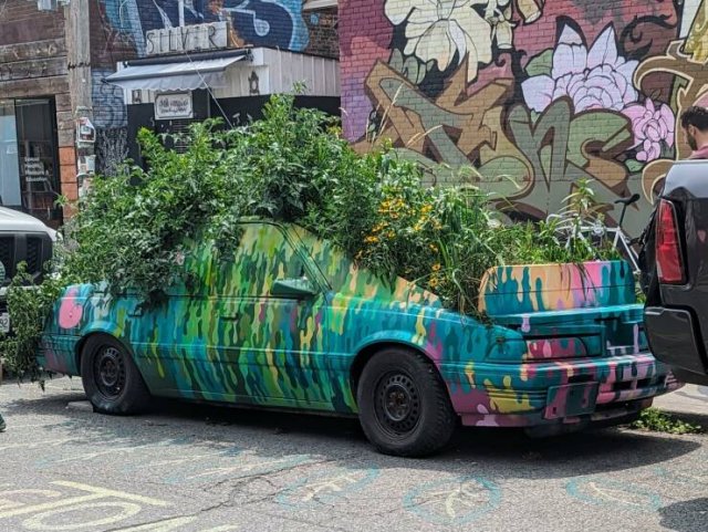 Подборка картинок. Вечерний выпуск - 27.07.2023