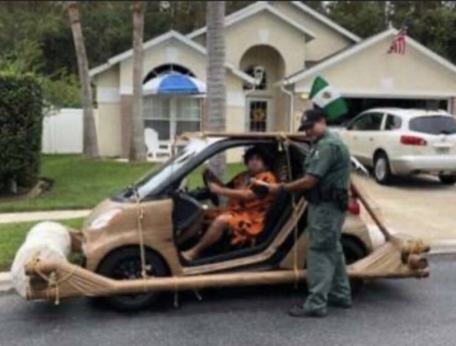 Подборка картинок. Вечерний выпуск - 27.07.2023