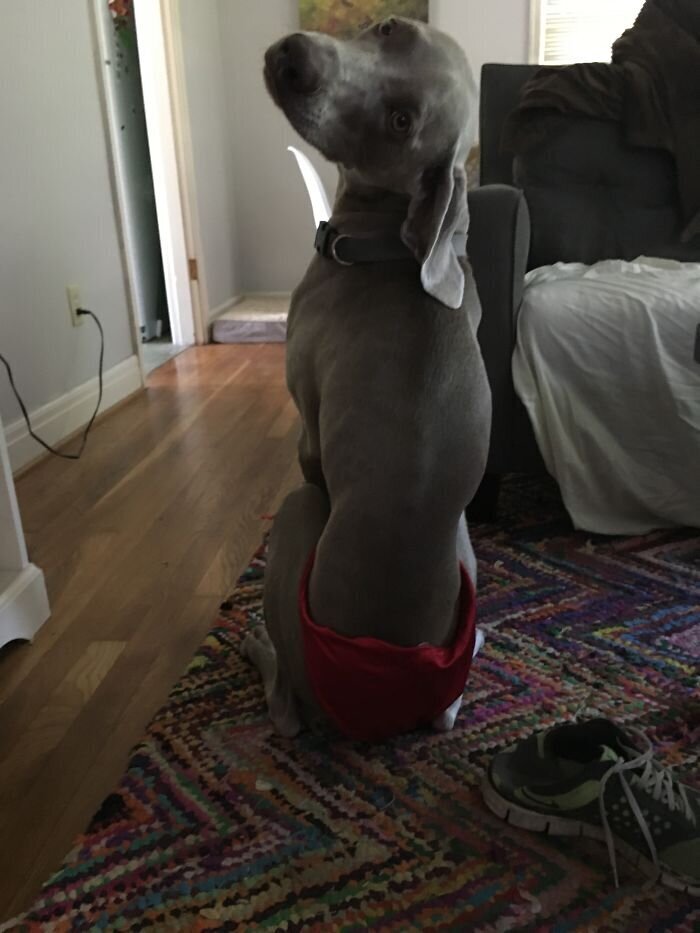 Фотография: 20 смешных ситуаций, когда люди сделали в точности так, как их попросили №3 - BigPicture.ru