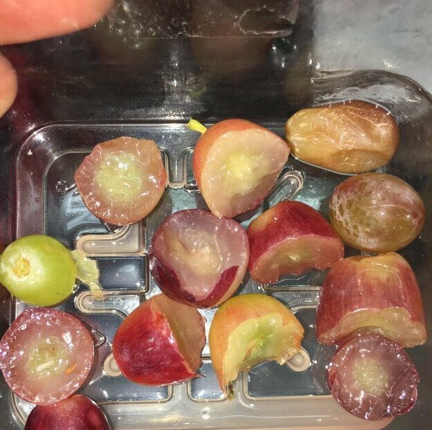 Фотография: 20 смешных ситуаций, когда люди сделали в точности так, как их попросили №4 - BigPicture.ru