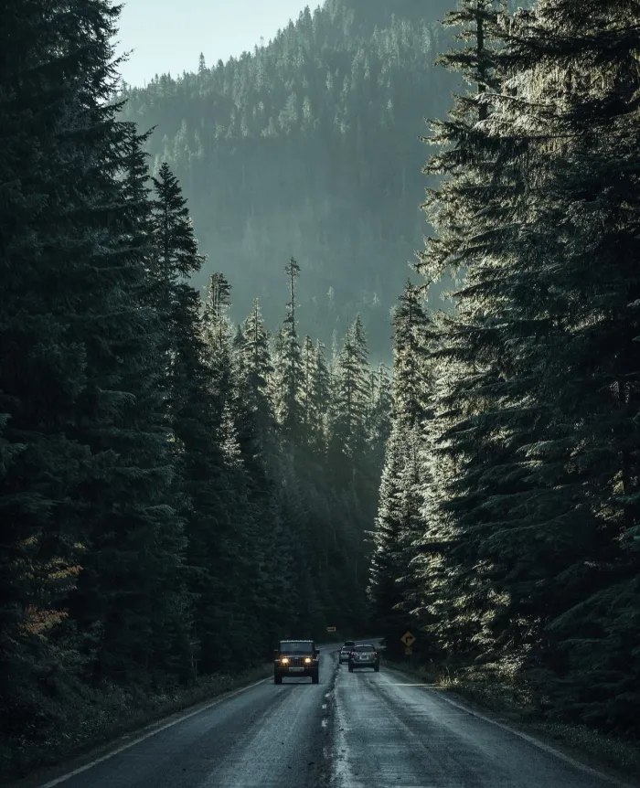 Мы -  русские, с нами VPN!! Короче, всё вперемешку.