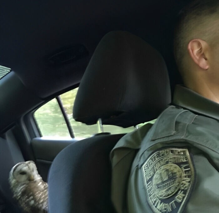 1. Очень опасный преступник 1. Очень опасный преступник