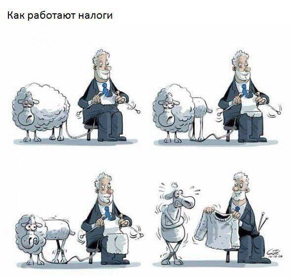 Утренняя подборка картинок - 21.08.2023