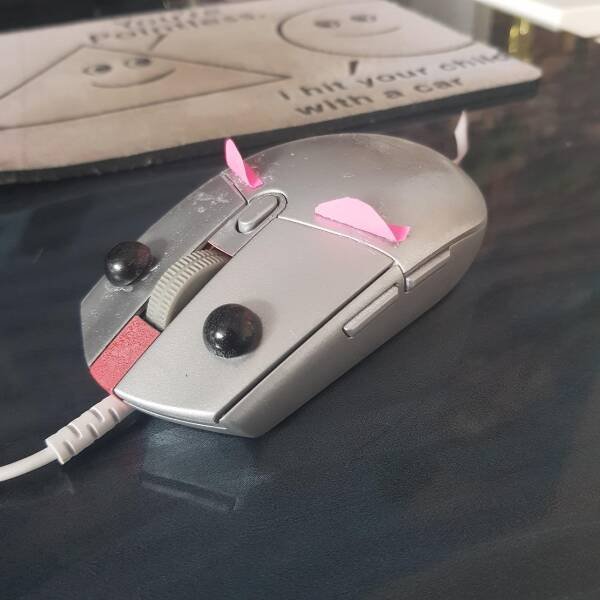 Подборка картинок. Вечерний выпуск - 23.08.2023