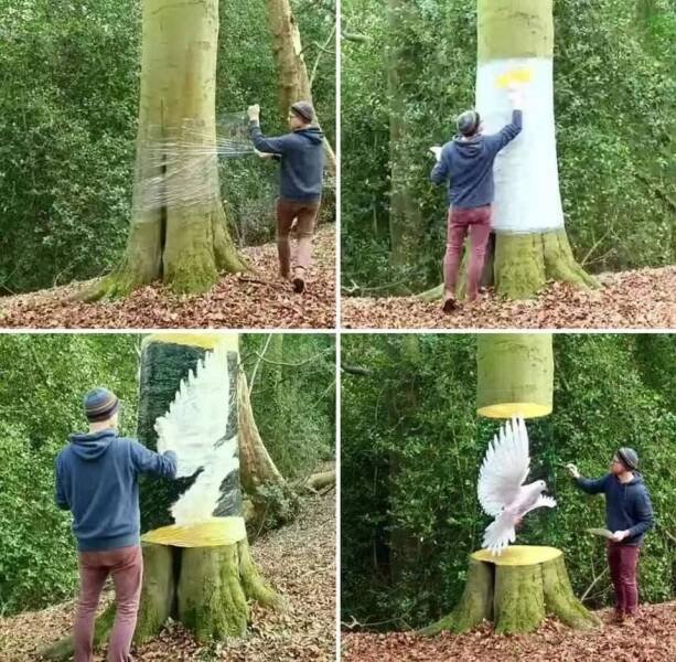 Подборка картинок. Вечерний выпуск - 23.08.2023