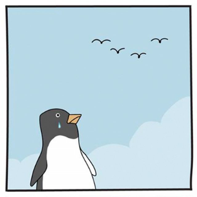 Подборка картинок. Вечерний выпуск - 23.08.2023