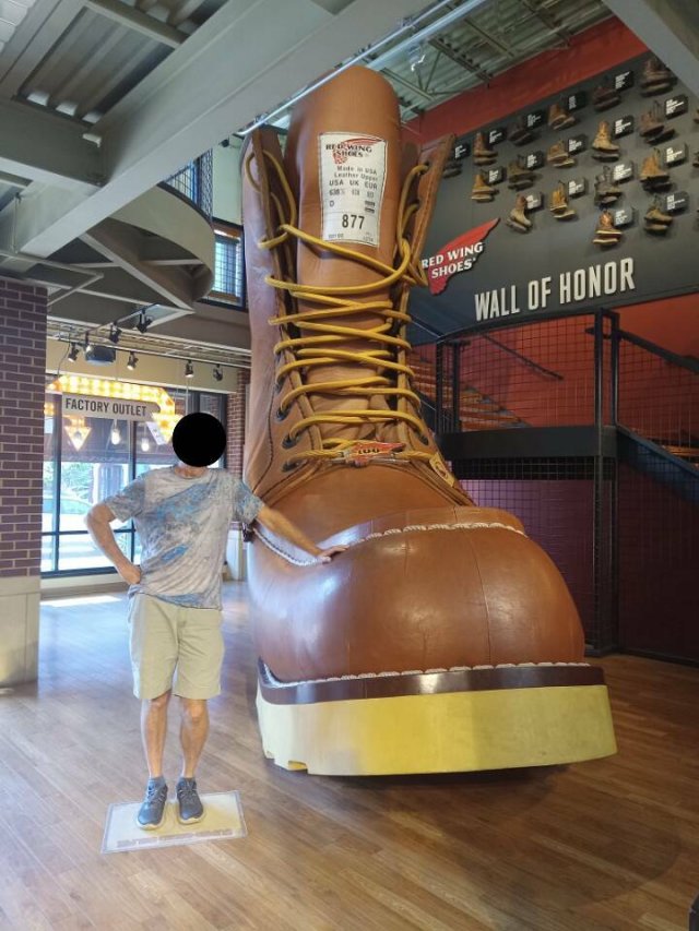 Подборка картинок. Вечерний выпуск - 24.08.2023