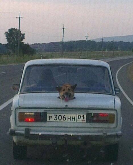 Подборка картинок. Вечерний выпуск - 24.08.2023