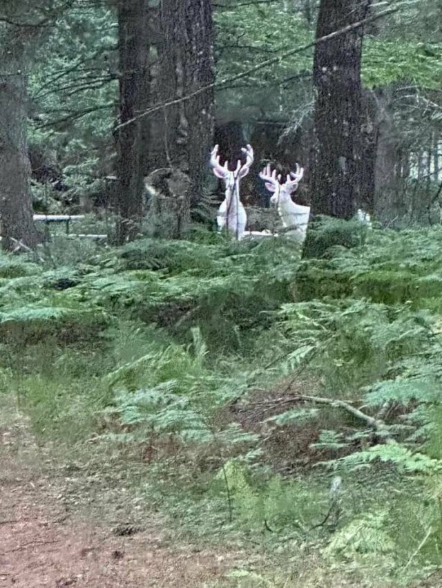 Подборка картинок. Вечерний выпуск - 28.08.2023