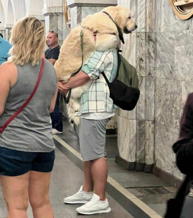 Подборка картинок. Вечерний выпуск - 28.08.2023