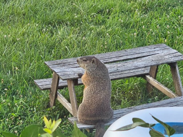Подборка картинок. Вечерний выпуск - 28.08.2023