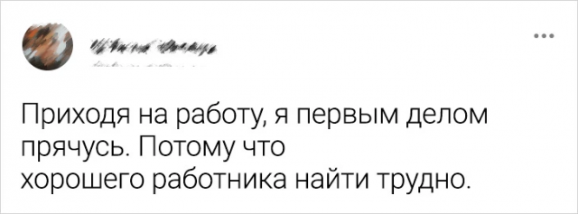 Подборка забавных твитов