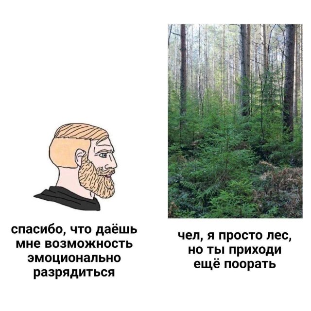 Лучшие шутки и мемы - 29.08.2023