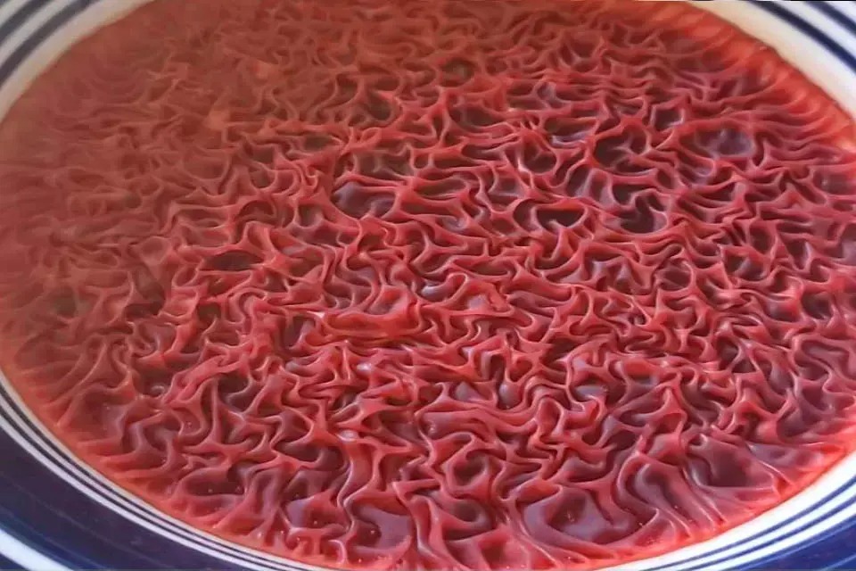 Bigpicture ru без названия (50)