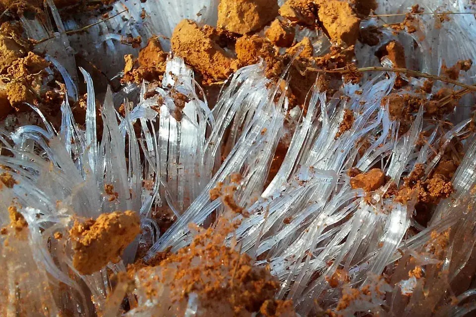 Bigpicture ru без названия (59)