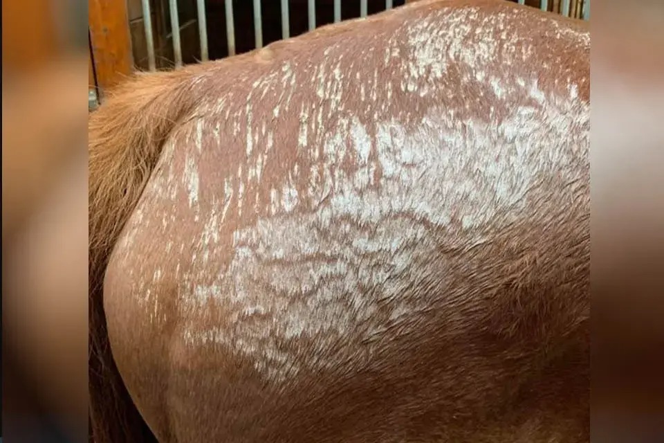 Bigpicture ru без названия (68)