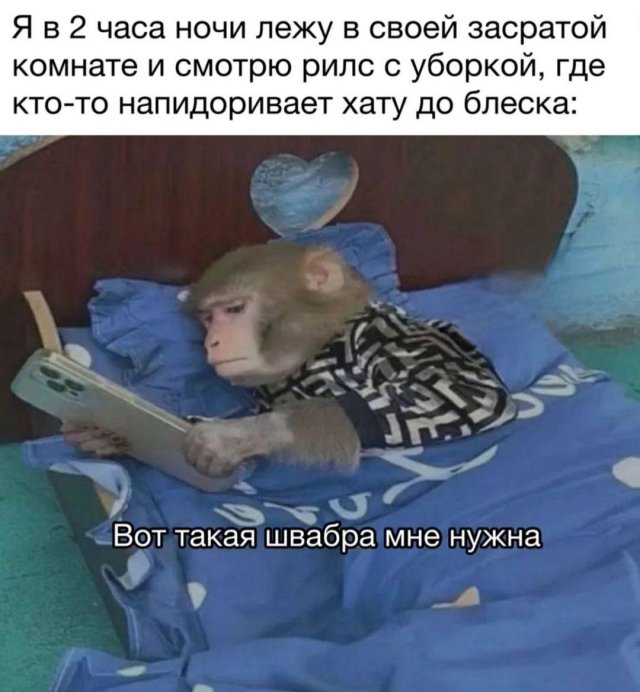 Лучшие шутки и мемы - 08.09.2023