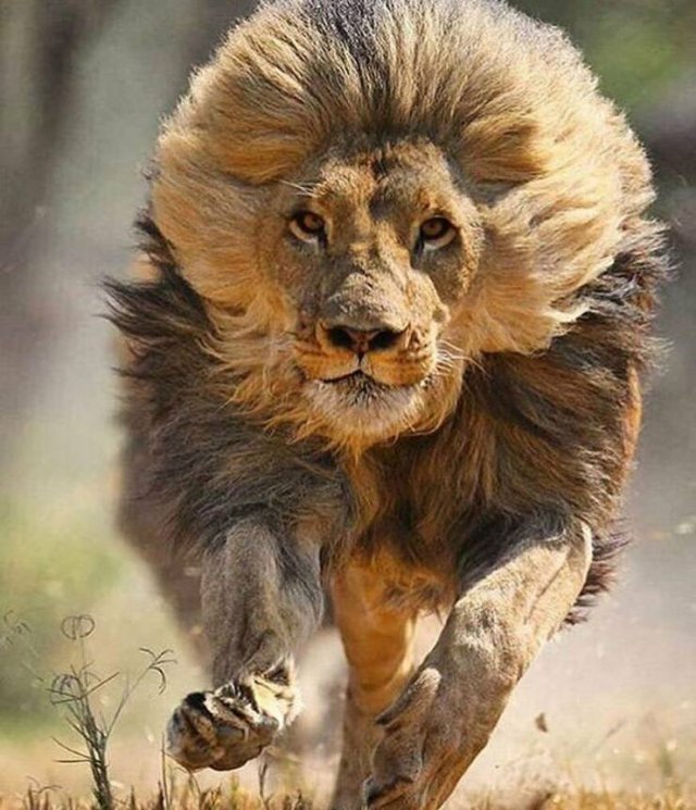 Подборка картинок. Вечерний выпуск - 11.09.2023