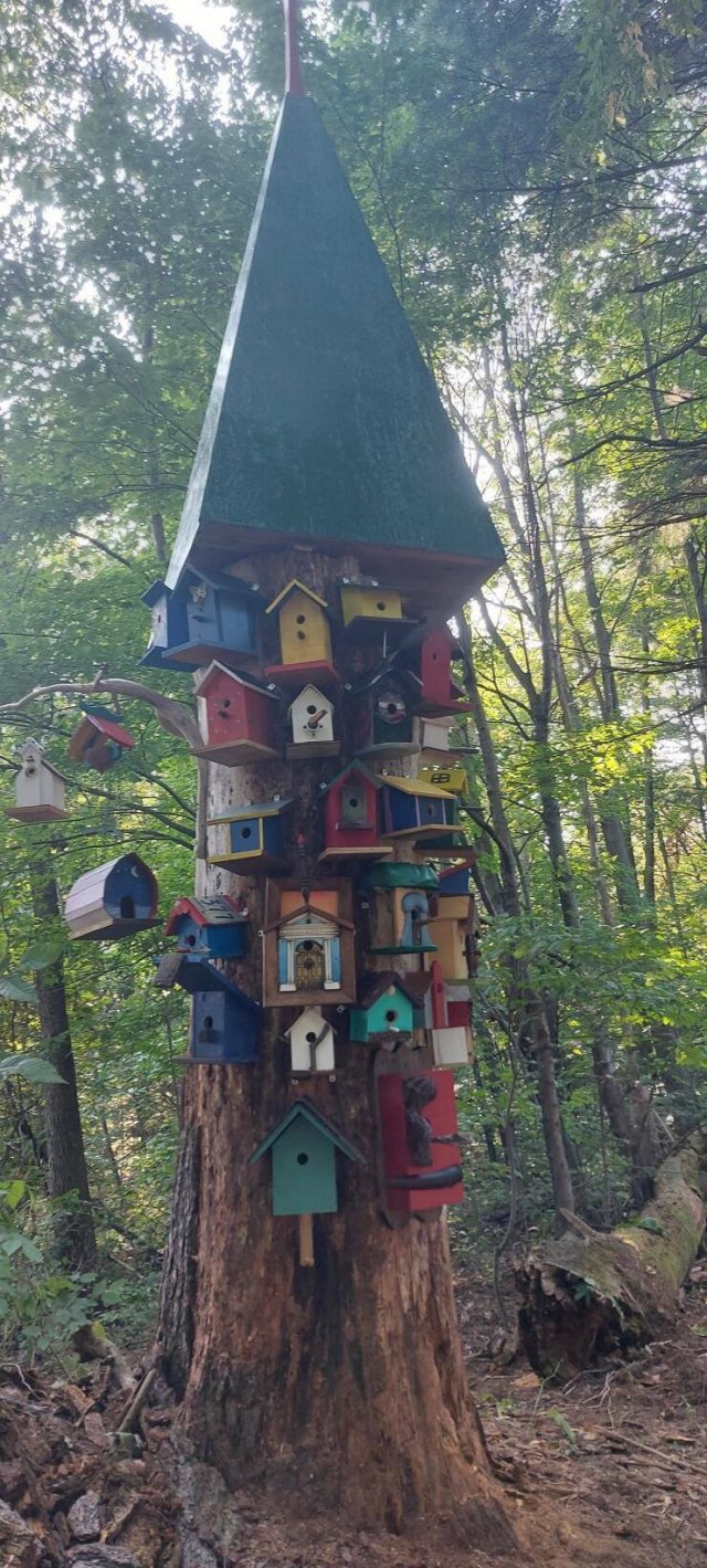 Подборка картинок. Вечерний выпуск - 22.09.2023