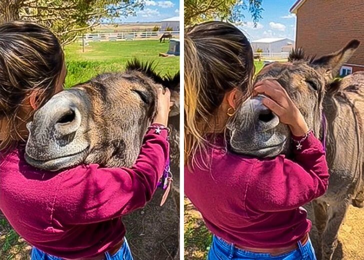 17. Обнимашки