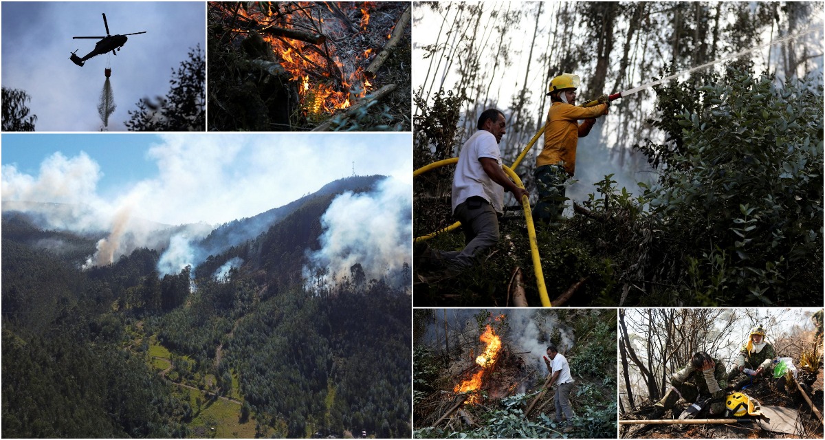Колумбия объявила стихийное бедствие из-за лесных пожаров