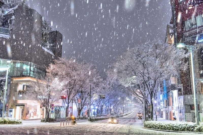 Есть пострадавшие: из-за снега в 2 сантиметра в Токио объявили тревогу