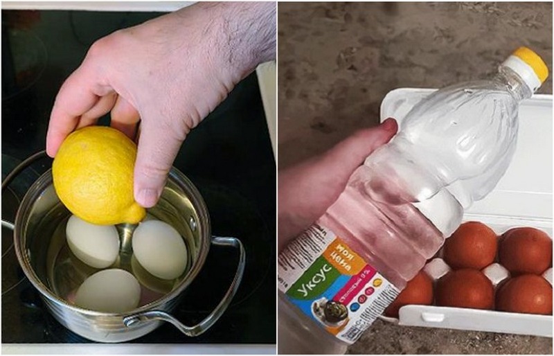 Зачем варить яйца с лимоном и заливать их уксусом: советы от подкованных хозяек