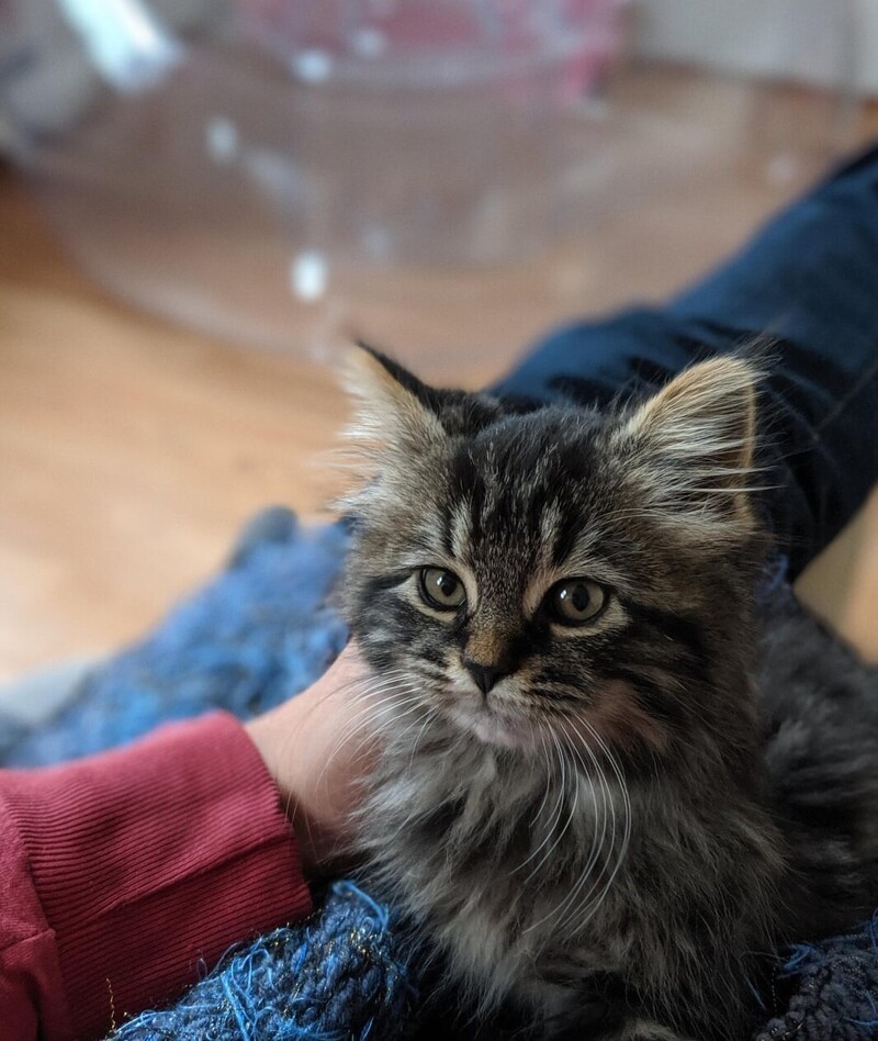 15. Наш новый друг, он сидел под дождём и плакал. Красавчик! 15. Наш новый друг, он сидел под дождём и плакал. Красавчик!