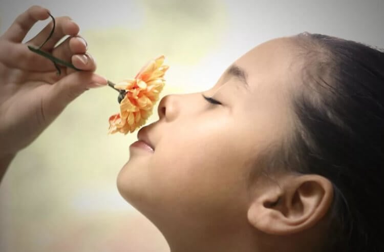 Тренировка обоняния очень проста. Ароматы могут улучшать настроение, снижать стресс и даже повышать концентрацию, так как обонятельные рецепторы напрямую связаны с лимбической системой мозга. Источник изображения: stock.adobe.com. Тренировка обоняния очень проста. Ароматы могут улучшать настроение, снижать стресс и даже повышать концентрацию, так как обонятельные рецепторы напрямую связаны с лимбической системой мозга. Источник изображения: stock.adobe.com. Фото.