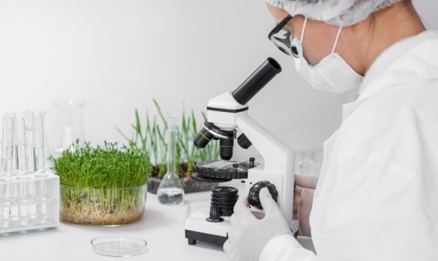 научные открытия 2025 года