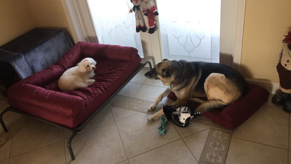 15. Худшая сделка 15. Худшая сделка