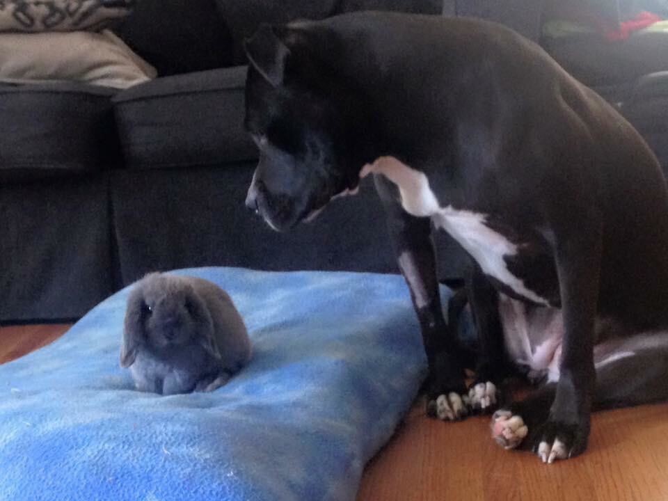 17. Не может отказать лучшему другу 17. Не может отказать лучшему другу