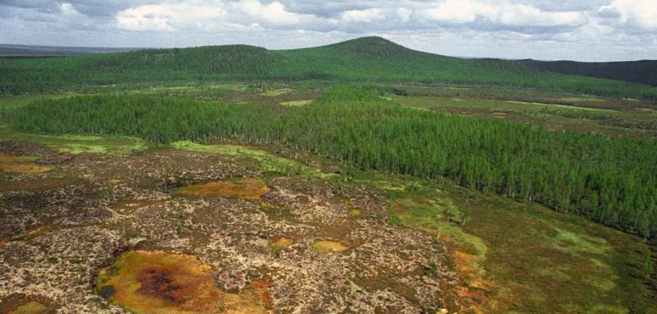 Миниатюрные черные дыры: существуют ли они? Возможно, Тунгусское событие было вызвано маленькой черной дырой. Источник: paleohunters.ru. Миниатюрные черные дыры: существуют ли они? Возможно, Тунгусское событие было вызвано маленькой черной дырой. Источник: paleohunters.ru. Фото.