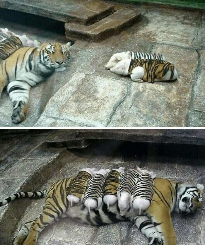 6. Чужих детей не бывает 6. Чужих детей не бывает