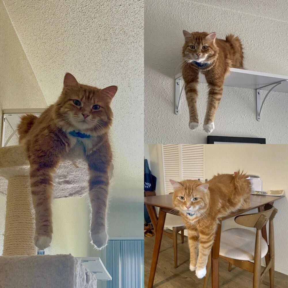 10. Лёгкая небрежность