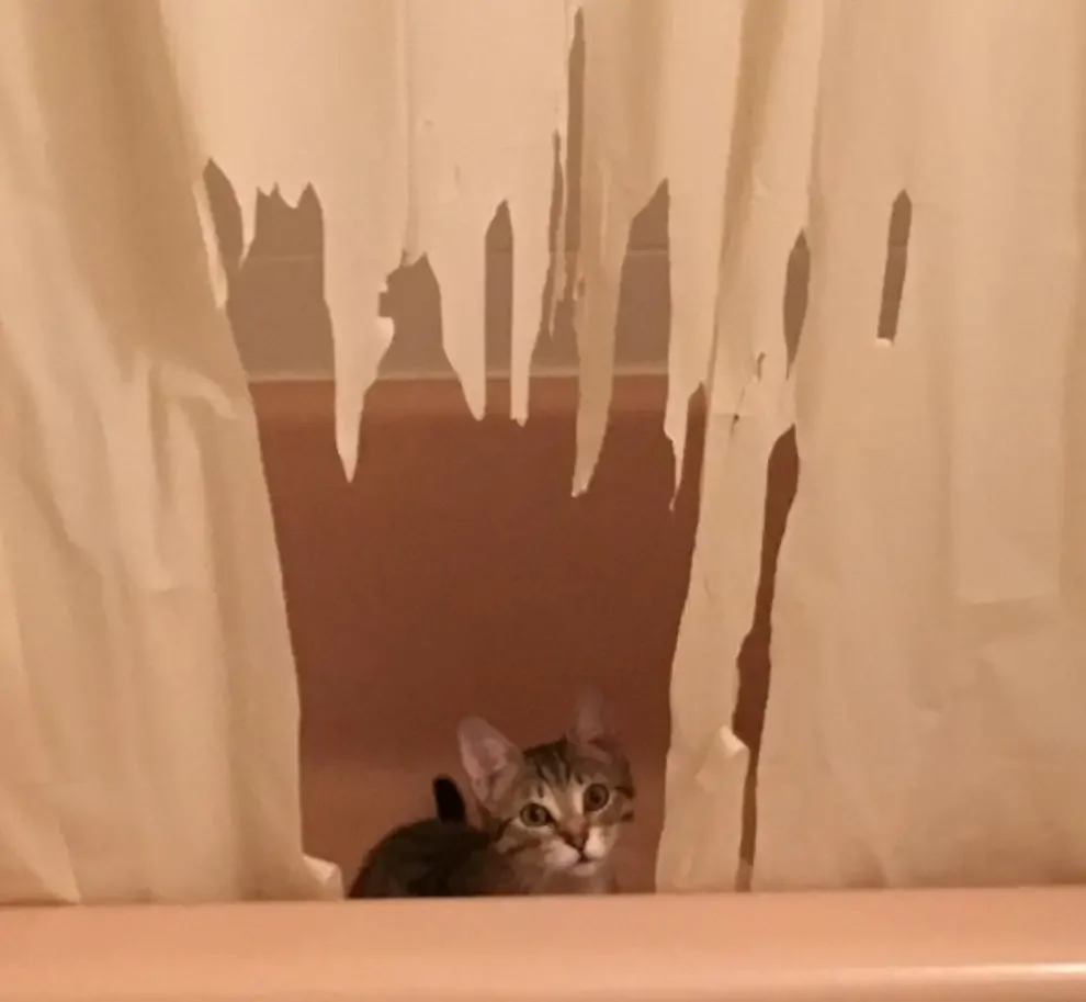 9. Занимательная помывка