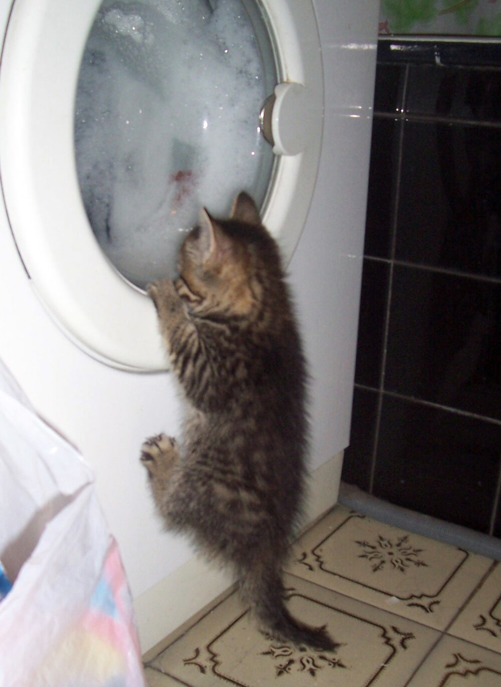 19. Манит, манит, манит карусель