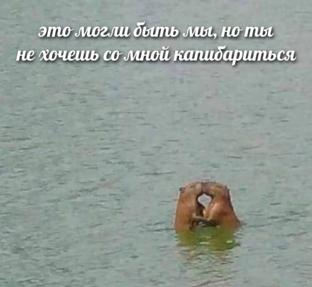 Лучшие картинки и рисунки из Сети - 04.03.2025