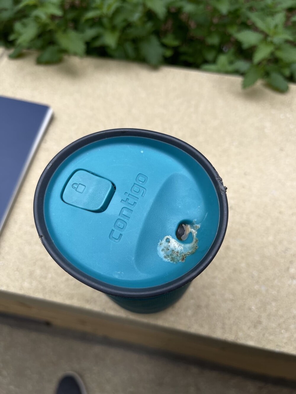 5. Меткая птица