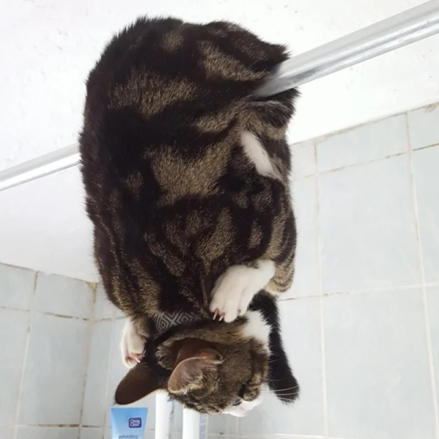 Когда в душе ты немного вампир