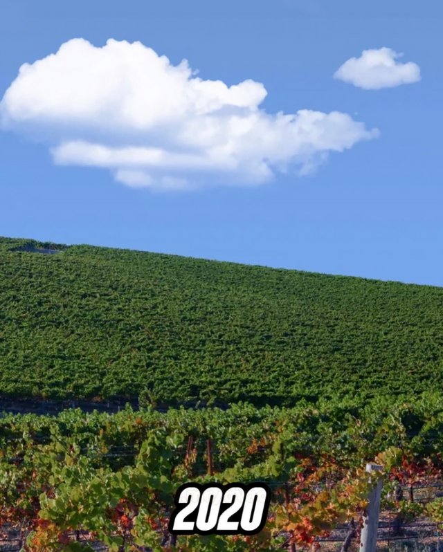 Как сегодня выглядит легендарный зеленый холм с обоев Windows XP