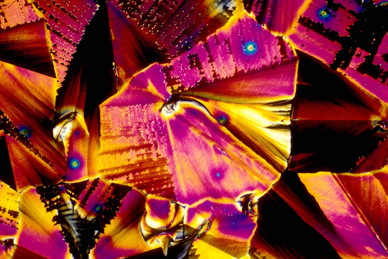 Японский напиток Сакэ