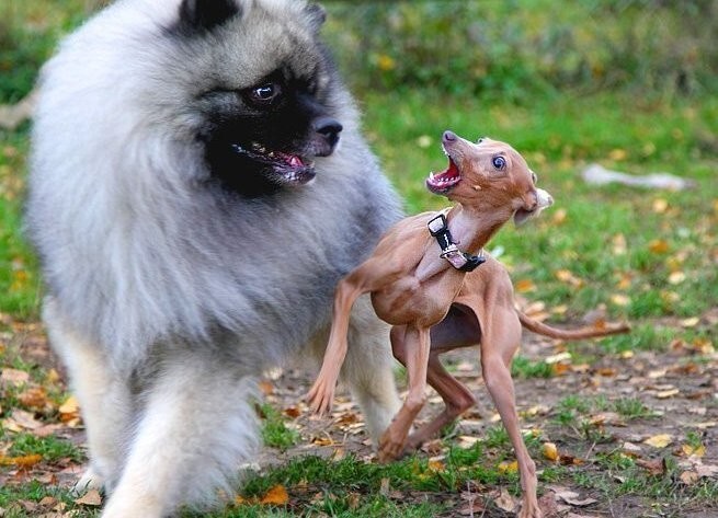 20. Мы разные, но всё-таки мы вместе