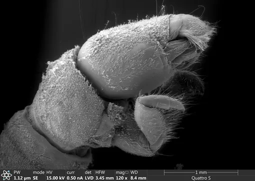 Извините, а можно спросить?