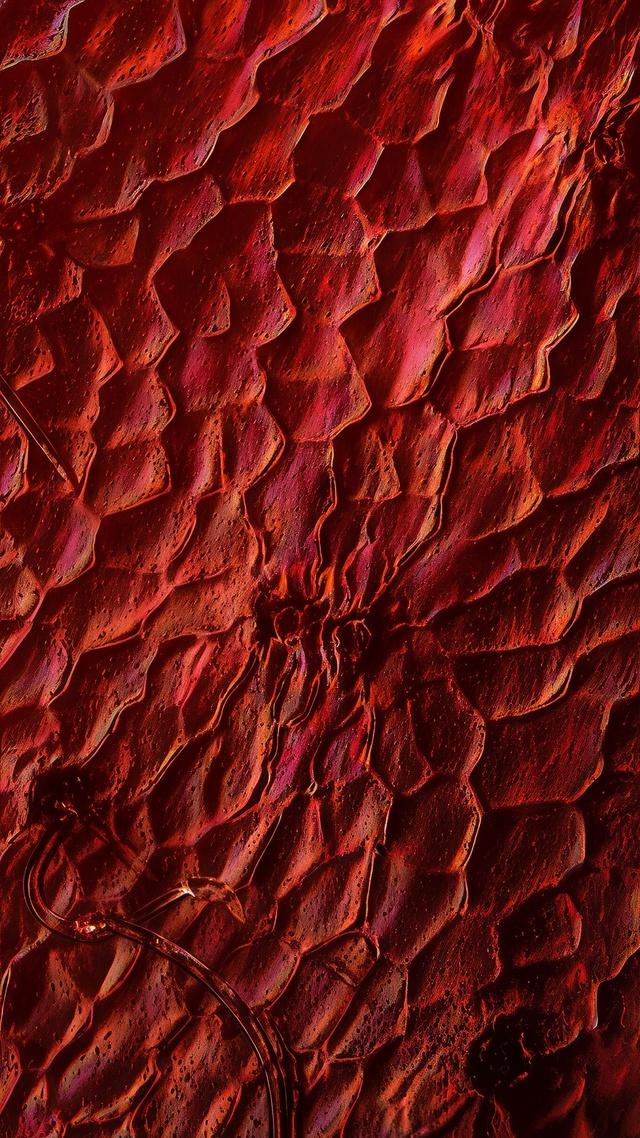 Что видит муравей сидя на клубнике? Орехи!!!⁠⁠