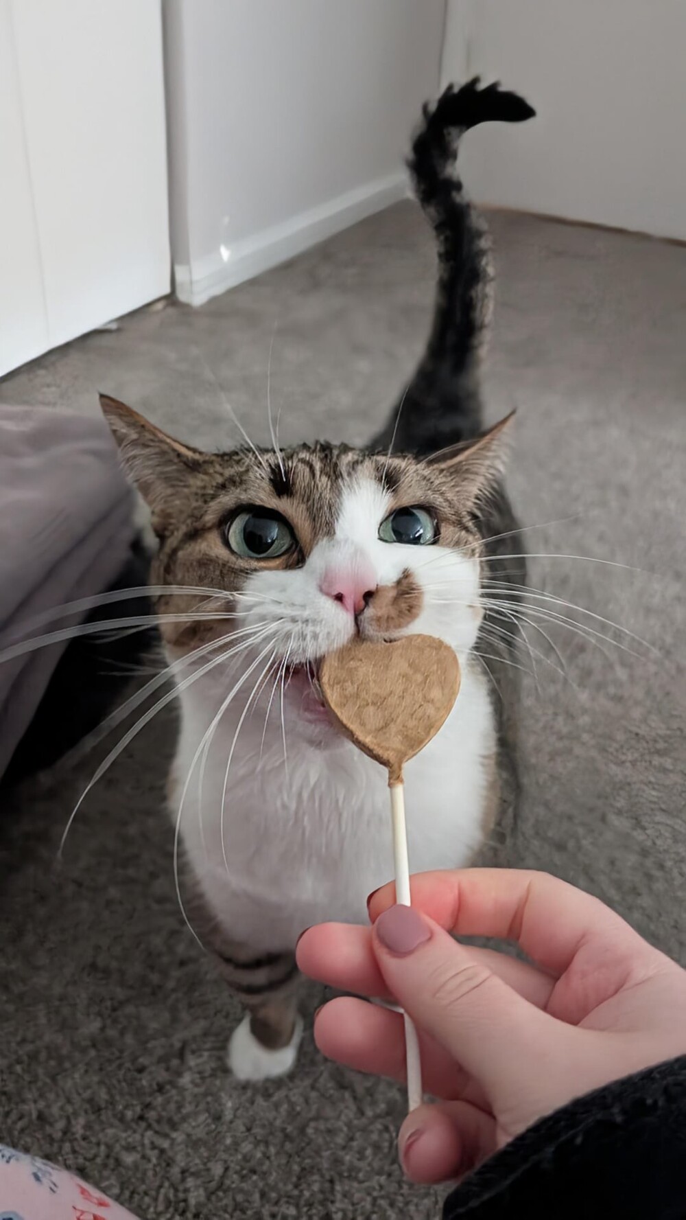 16. Время для вкусняшек